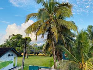 Κήπος έξω από το Dawood Villa