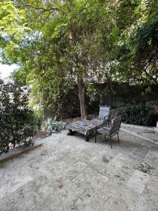 Zahrada ubytování Lovely studio on the Carmel Mt