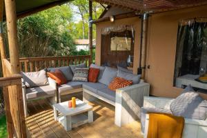 eine Veranda mit einer blauen Couch auf einer Terrasse in der Unterkunft Glamping Rhederlaagse Meren in Lathum