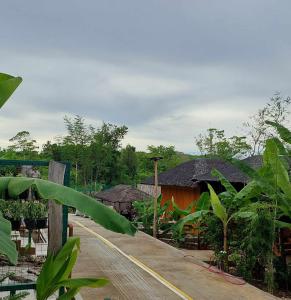 a road leading to a village with houses and trees at Vikings Ecolodge in San Juan +9 photos
