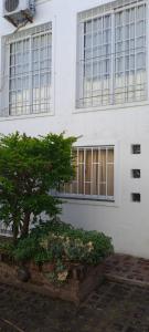 a white building with a tree in front of it at La historica in Concepción del Uruguay