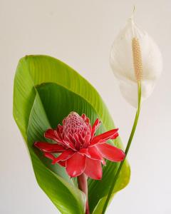 Fotografie z fotogalerie ubytování Casa Poema Paraty v destinaci Paraty