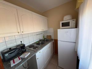 kuchnia ze zlewem i białą lodówką w obiekcie Arany Apartmanház Zalagyöngye w Zalakaros