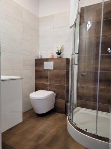 Kúpeľňa v ubytovaní Apartament Przy Placu Piastowskim