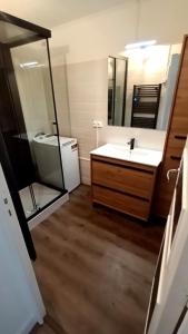 a bathroom with a sink and a mirror at Le Chêne Pommier Proche Honfleur in Fatouville-Grestain +9 photos