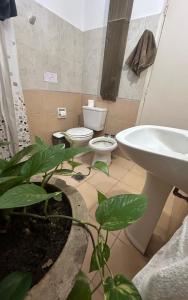 a bathroom with a toilet and a sink and a plant at The amphitheater house in Villa María
