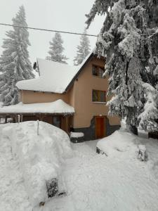 una casa cubierta de nieve al lado de un árbol en Vila Anđelija, en Jahorina