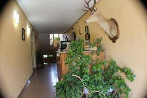 Fotografie z fotogalerie ubytování Hotel Las Nieves v destinaci Las Nieves