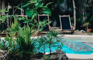 Bazén v ubytování VerdeAmar Eco Lodge Jungle Retreat nebo v jeho okolí