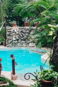 Bazén v ubytování VerdeAmar Eco Lodge Jungle Retreat nebo v jeho okolí