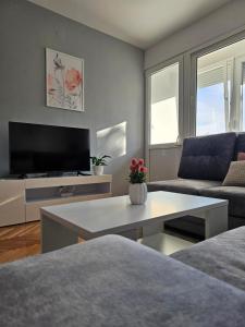 TV a/nebo společenská místnost v ubytování Apartman LARA