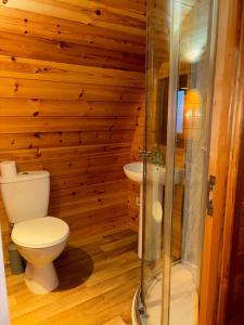 un bagno con wc e doccia in vetro di Emlagh, Self Catering Glamping Pods a Kilkee