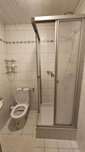 a bathroom with a toilet and a shower at Gasthof Linko in Traisen