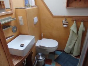 ein kleines Badezimmer mit Toilette und Waschbecken in der Unterkunft Casa Sauschneider in Sankt Ruprecht ob Murau + 24 Fotos