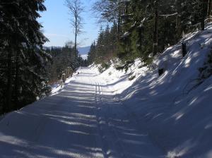 Apartmán Můza v zime