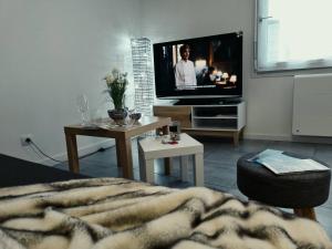 a living room with a couch and a television at Appartement en centre ville in Montluçon
