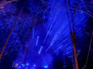 a group of lights in the woods at night at Enchanted Forest Cabin And Teepee! Lights & Laser Show! Private Hot Tub! Unique Stay! in Sevierville
