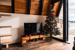 a christmas tree in a living room with a tv at Golden Valley Brezna in Pluzine