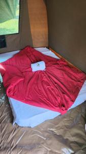 Mfangano IslandArch-Villa Resort&Camping Site Mfangano Island的床上有红毯