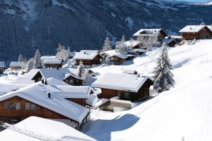 Grindellodge pozimi
