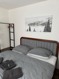 Voodi või voodid majutusasutuse Apartman 7 Plesivec toas