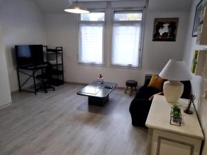 a living room with a couch and a table at Studio en centre ville in Montluçon