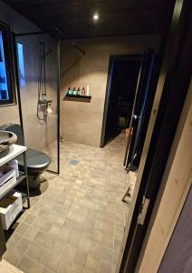 a bathroom with a shower and a toilet at Beach cottage with sauna in Kajaani +19 photos