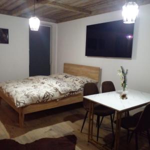 Un dormitorio con una cama y una mesa con sillas. en Apartmán Resident Harrachov and Wellness, en Harrachov