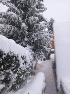 Chata Kubko durante l'inverno