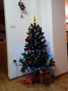 Fotografie z fotogalerie ubytování Apartma Lana v destinaci Mojstrana