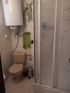 un bagno con wc e doccia di Chata Kubko a Bobrovník