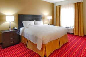 a hotel room with a large bed and a window at TownePlace Suites by Marriott El Paso Airport in El Paso +14 photos