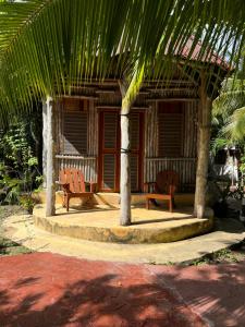 um alpendre de uma casa com duas cadeiras e uma palmeira em Cabañas Jardin del Amor em Tulum