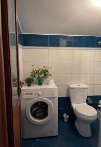a bathroom with a washing machine and a toilet at Stone Villa Ballabanac in Krujë