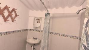 Gallery image of The Octopus's Garden Hostel in Cruz de Huanacaxtle +43 photos