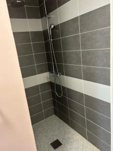 Fotografie z fotogalerie ubytování Bobaski v destinaci Louchats