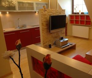 a kitchen with a living room with a tv on a wall at Apartment 28 Rubinowy Pod Aniołem in Kazimierz Dolny