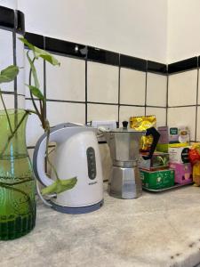 een aanrecht met een broodrooster en een vaas met een plant bij Casa Barracas, habitación privada in Buenos Aires