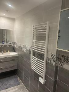 a bathroom with a shower and a sink and a mirror at Maison appartement cosy au centre-ville in Luxeuil-les-Bains