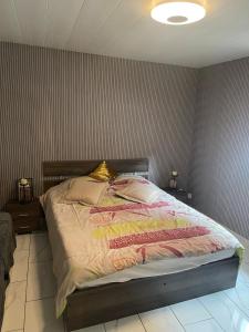 a bedroom with a bed in a room with at Maison appartement cosy au centre-ville in Luxeuil-les-Bains