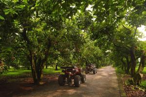 two motorcycles parked on a dirt road under trees at The Westin Desaru Coast Resort in Desaru