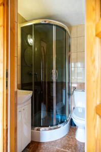a bathroom with a shower with a toilet and a sink at Gościniec U Ani - pod wieżą widokową Sky Walk, nieopodal szlaków na Polane Rusinową , Gęsią Szyje, Polane Zgorzelisko , Tarasówke i Palenice in Male Ciche +99 photos
