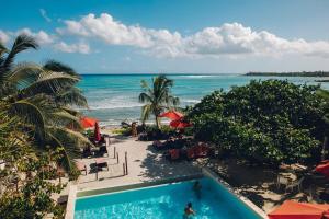 a swimming pool next to a beach with the ocean at Serene Jungle Villa -Steps from the Ocean in Akumal