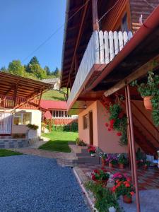 Billede fra billedgalleriet på Pensiunea Daiana i Albac