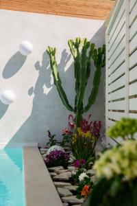 A piscina em ou perto de Chrisanthi Elegant Villa