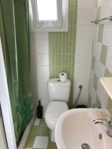 Un baño con inodoro, lavabo y ventana. en Giannis Private Villa, With Garden, en Kalamaki 29 fotos más