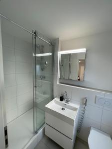 Koupelna v ubytování Tulip apartment with your private entrance + 11 fotografií