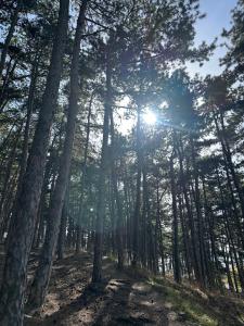 Billede fra billedgalleriet på Cosy room in a stylish Villa i Sopot