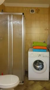 uma casa de banho com uma máquina de lavar roupa e uma máquina de lavar roupa. em Rododendro Apartment em Passo San Pellegrino