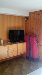 a living room with a tv on a wooden wall at Rododendro Apartment in Passo San Pellegrino